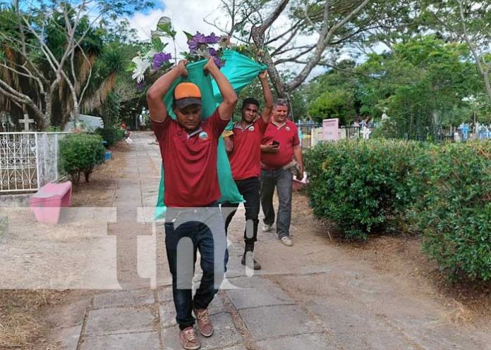 Jornadas de limpieza en el campo santo de Somoto previo al día de los difuntos