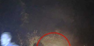 Policía en Estados Unidos prende fuego a sujeto con un taser (VIDEO)
