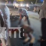 Equinos en las carreteras principales causantes de accidentes fatales en León