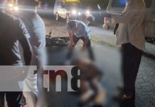 Equinos en las carreteras, principales causantes de accidentes fatales en León Equinos en las carreteras principales causantes de accidentes fatales en León