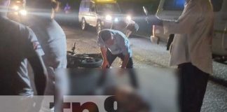 Equinos en las carreteras principales causantes de accidentes fatales en León