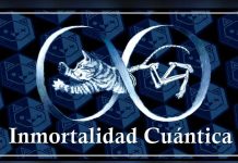 Mujer señala que los humanos jamás mueren según su teoría