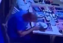 Hombre se lleva susto al caerle gigantesca rata en su plato