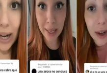 «No respetan»: Mujer que se identifica como ‘género cebra’ denuncia acoso "No respetan": Mujer que se identifica como 'género cebra' denuncia acoso