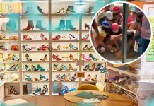 Mujeres se dan a puño tan solo por un par de zapatos Mujeres se dan a puño tan solo por un par de zapatos