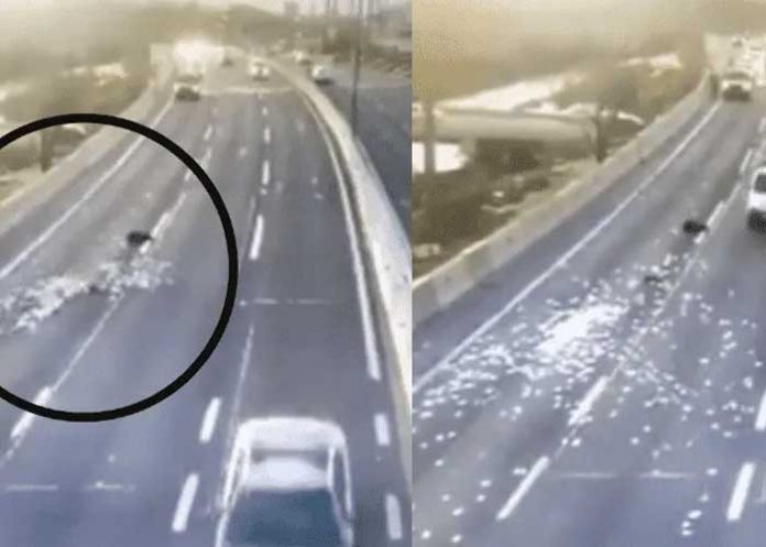 Ladrones arrojan dinero en la calle para no ser atrapados