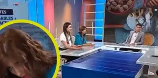 En video, nutricionista se desmaya en plena entrevista