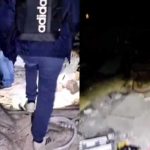 Espíritus 'ofenden con vulgaridades' a famosos cazafantasmas