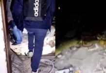 Espíritus ‘ofenden con vulgaridades’ a famosos cazafantasmas Espíritus 'ofenden con vulgaridades' a famosos cazafantasmas