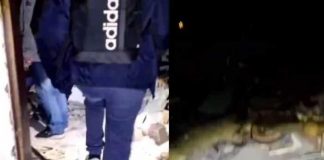 Espíritus 'ofenden con vulgaridades' a famosos cazafantasmas
