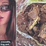 ¡Insólito! Compró carne de perro para alimentarse y fue criticada