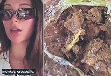¡Insólito! Compró carne de perro para alimentarse y fue criticada ¡Insólito! Compró carne de perro para alimentarse y fue criticada