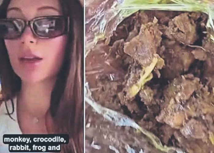 ¡Insólito! Compró carne de perro para alimentarse y fue criticada