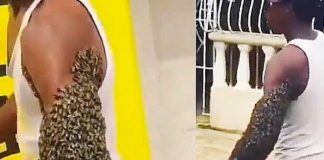 Asombross sujeto se anima a llevar su brazo lleno de abejas
