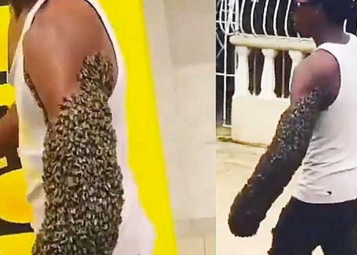 1 Asombross sujeto se anima a llevar su brazo lleno de abejas
