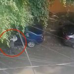 Video: Hombre suplica a gritos a ladrón que no le robe nada Video: Hombre suplica a gritos a ladrón que no le roben nada
