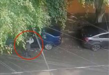 Video: Hombre suplica a gritos a ladrón que no le robe nada Video: Hombre suplica a gritos a ladrón que no le roben nada