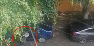 Video: Hombre suplica a gritos a ladrón que no le roben nada