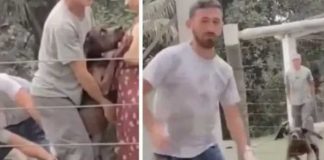En video, perro casi se come vivo a veterinario luego que lo inyectara
