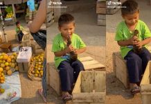 "Pintamos toda la casa....", niño da caricias a su 'peculiar mascota'