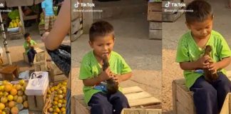 "Pintamos toda la casa....", niño da caricias a su 'peculiar mascota'