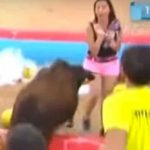 ¡Increíble! Toro 'revuelca' a reportera en plena transmisión en vivo