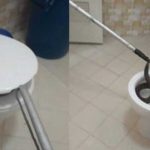 "Casi le muerde las 'nachas'": Encontró tremenda serpiente en el inodoro (VIDEO)
