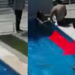 La brama: Prefiere morir ahogado antes que ser descubierto por infiel La brama: Prefiere morir ahogado antes que ser descubierto por infiel