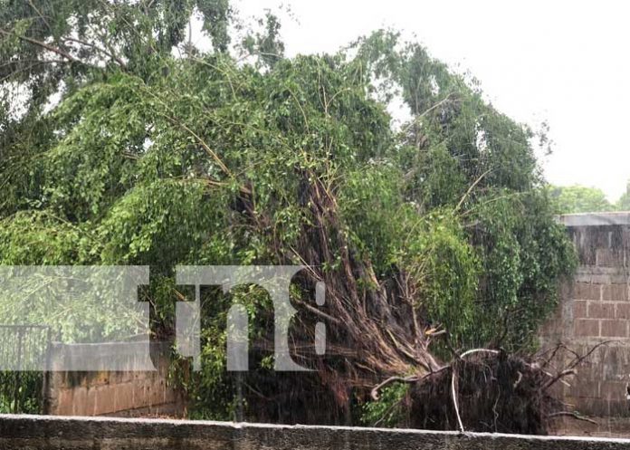 2 Tormenta tropical Julia causa estragos en Managua
