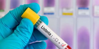 ¿Qué es la listeria y por qué puede ser tan peligrosa?
