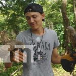 Nandaime: Joven lucha por alcanzar un sueño a través de sus aves