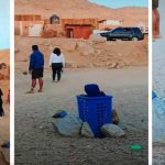 «Clase rigio»: Madre deja a su hijo en una canasta para poder jugar voleibol "Clase rigio": Madre deja a su hijo en una canasta para poder jugar voleibol