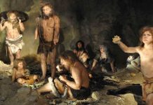 ¡Impresionante! Estudio genético retrata a familia de neandertales de Siberia