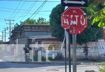 Irresponsable se tira el Alto y provoca la muerte de un motociclista en Managua Irresponsable se tira el Alto y provoca la muerte de un motociclista en Managua
