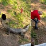 ¡Increíble! Señor se libra de ser devorado por cocodrilo con una paila