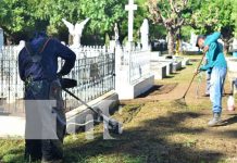 Realizan mantenimiento a cementerios de León Realizan mantenimiento a cementerios de León