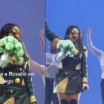 «Mala puntería» Golpean en la cara a Rosalía en medio de un concierto Golpean en la cara a Rosalía en medio de un concierto