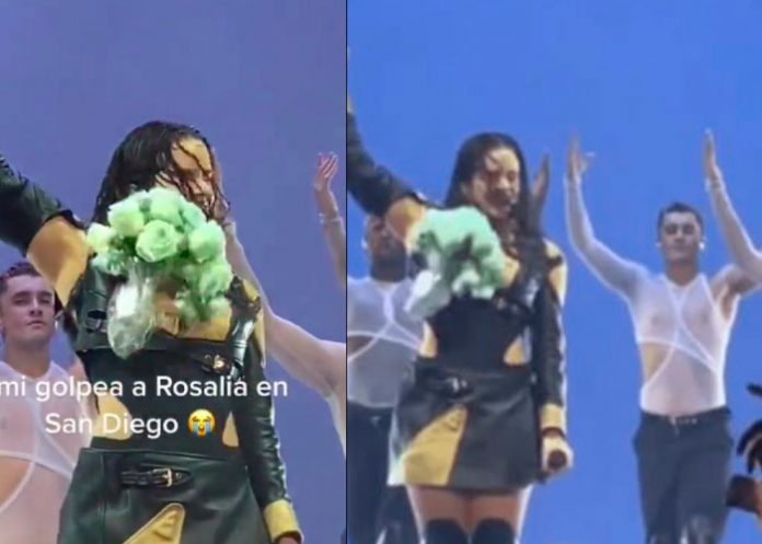Golpean en la cara a Rosalía en medio de un concierto