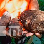 Desarrollan huerto en centro escolar de Belén, Rivas Desarrollan huerto en centro escolar de Belén, Rivas