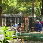 Cementerios de Ocotal lucen limpios y bonitos para el Día de los difuntos Cementerios de Ocotal lucen limpios y bonitos para el Día de los difuntos