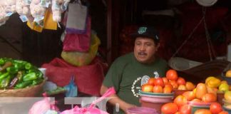 Reportan estabilidad de precios en mercados de Managua, Masaya y Granada
