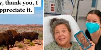 Mujer graba el brutal ataque de un bisonte mientras practica senderismo