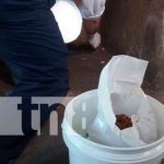 Lanzan 3ra Jornada Nacional para la Prevención de la Leptospirosis en Tipitapa Lanzan 3ra Jornada Nacional para la Prevención de la Leptospirosis en Tipitapa