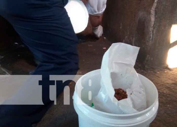 Lanzan 3ra Jornada Nacional para la Prevención de la Leptospirosis en Tipitapa