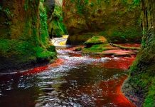 El ‘Púlpito del Diablo’: Río en Escocia tiene el color de la sangre El 'Púlpito del Diablo': Río en Escocia tiene el color de la sangre