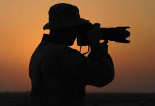 ¿Sabías que puedes ganar dinero vendiendo tus fotografías por internet? ¿Sabías que puedes ganar dinero vendiendo tus fotografías por internet?