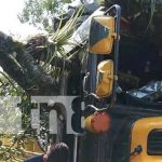 Bus de Matagalpa-Cerro Colorado se estrella con árbol en Matiguás Bus de Matagalpa-Cerro Colorado se estrella con árbol en Matiguás