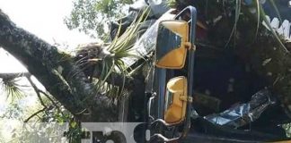 Bus de Matagalpa-Cerro Colorado se estrella con árbol en Matiguás