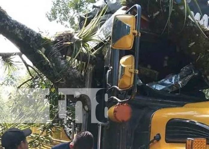 9 Bus de Matagalpa-Cerro Colorado se estrella con árbol en Matiguás