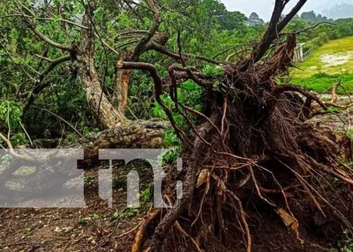 Nicaragua en alerta roja tras el paso de la tormenta tropical 